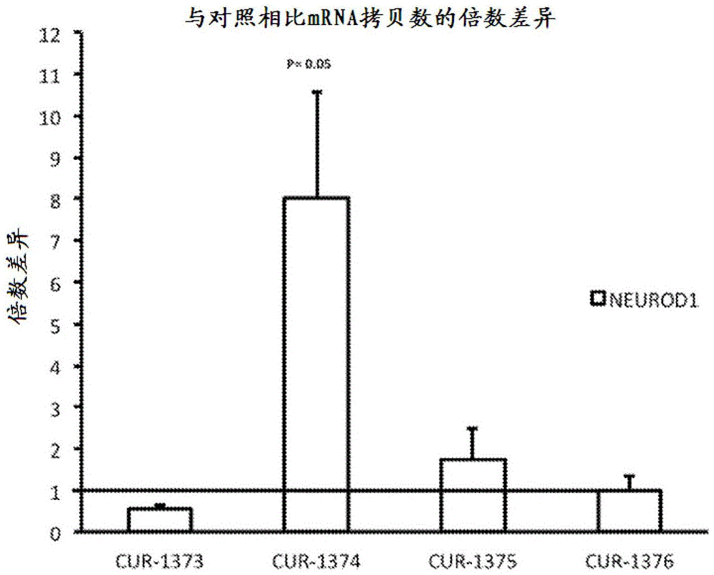  华体会体育app官方下载