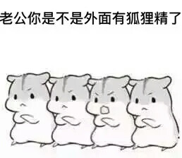  华体会APP官网