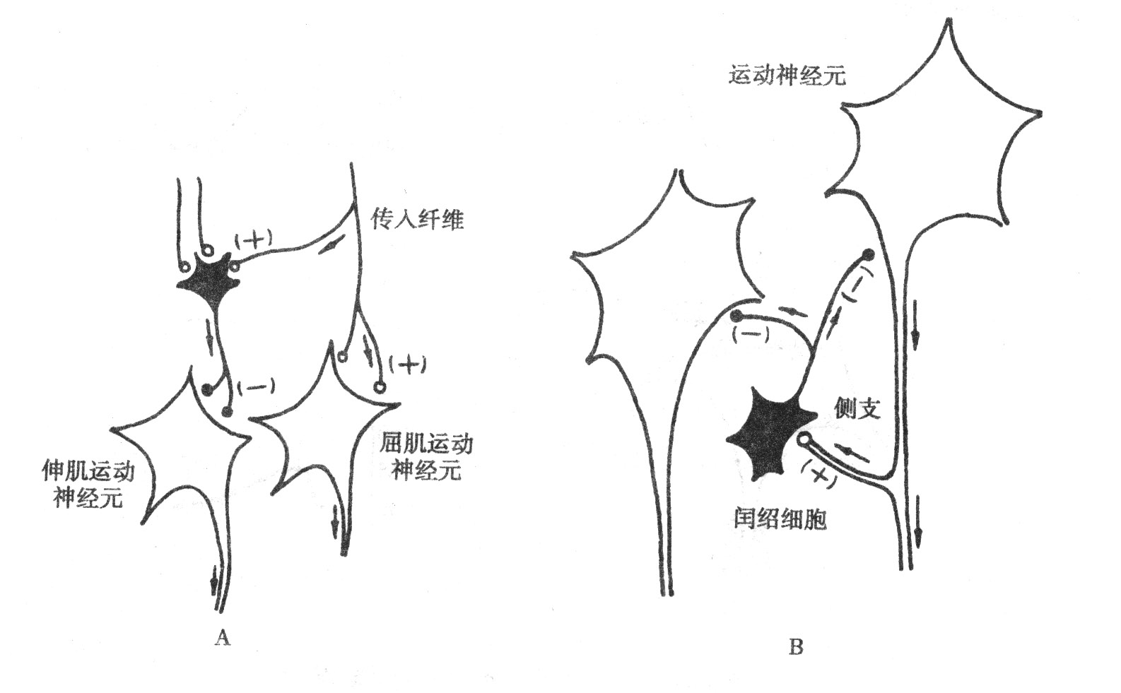  华体会体育app官方下载