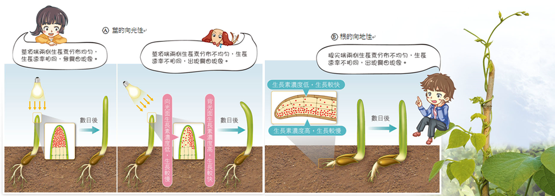 胸锁乳突肌的按摩方法_ 华体会APP官网