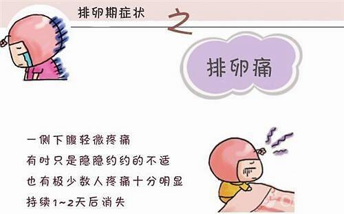  华体会体育app官方下载