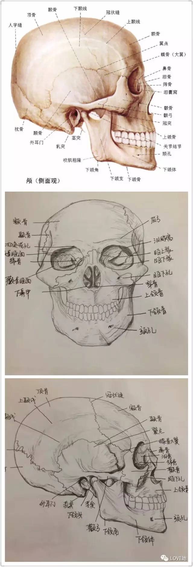  华体会体育app官方下载