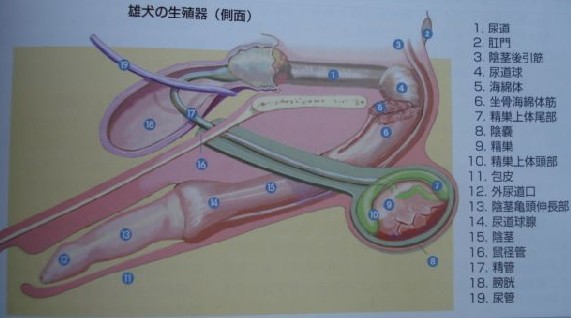  华体会体育app官方下载