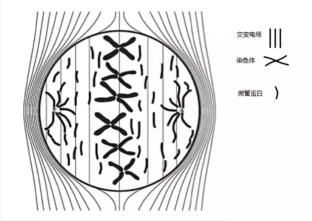  华体会体育app官方下载