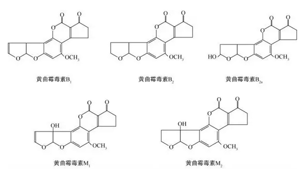 华体会体育-买二手房流程是怎样的，买二手房流程介绍