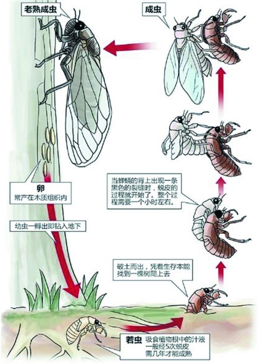 华体会体育