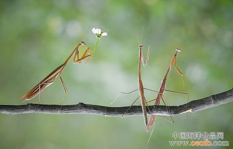  华体会体育app官方下载